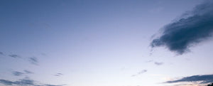 Immune System: The what's and why's
