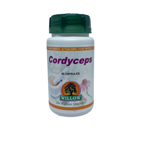Cordyceps