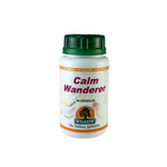Calm Wanderer