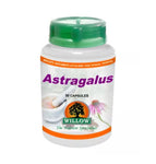 Astragalus Extract